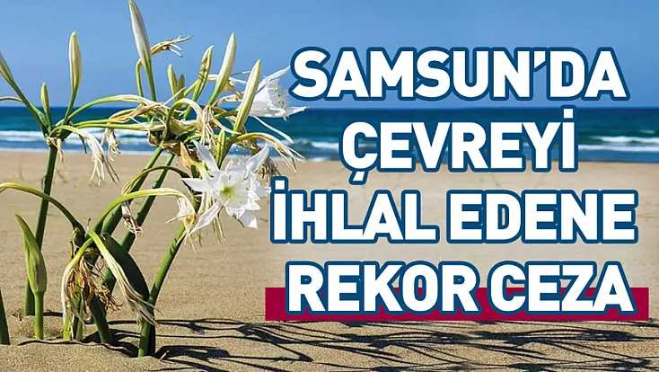 Samsun’da çevre kanunu’nu ihlal eden kişiye 699 bin TL ceza