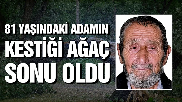 Samsun'da kestiği ağaç üzerine devrilen adam hayatını kaybetti