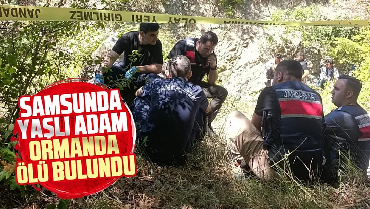 Samsun'da Koyunlarını otlatmaya çıkan adam ormanda ölü bulundu