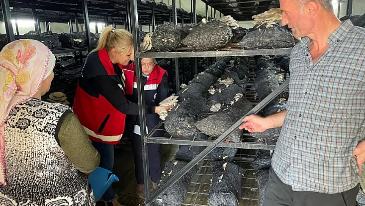 Samsun’da Mantar hasadı etkinliği düzenlendi