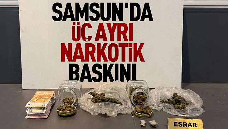 Samsun'da narkotik operasyonu