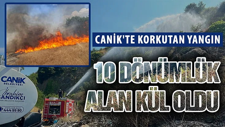 Samsun'da Otluk Alan Yangını: 10 Dönüm Zarar Gördü