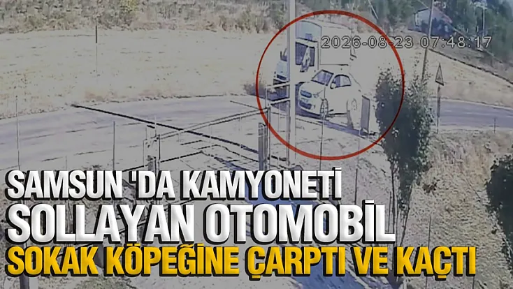 Samsun'da otomobil köpeğe çarptı arkasına bakmadan kaçtı