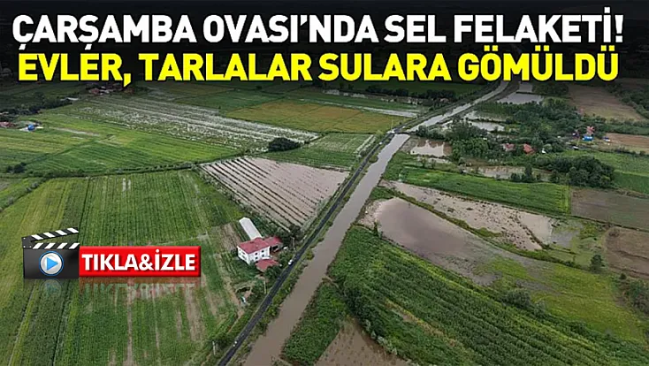 Samsun’da Sağanak Çarşamba Ovası’nı vurdu!