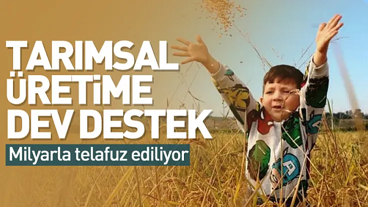 Samsun'da tarımsal üretime dev destek! Milyarla telafuz ediliyor
