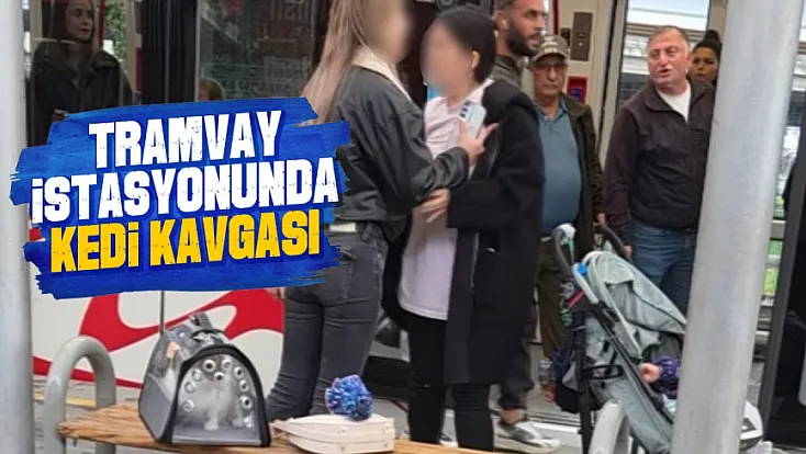 Samsun'da tramvay durağında kedi tartışması kavgaya döndü