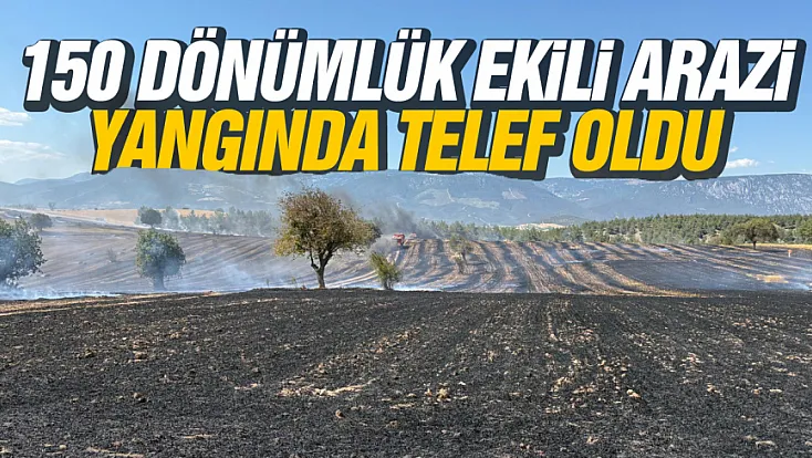 Samsun Vezirköprü'de Tarlada Çıkan Yangın Ürünleri Yok Etti