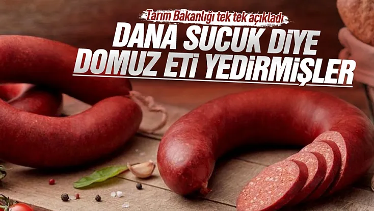 Tarım Bakanlığı ifşa etti dana sucukta domuz eti çıktı