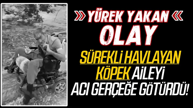 Tekerlekli sandalyesi tutuşan engelli vatandaş hayatını kaybetti