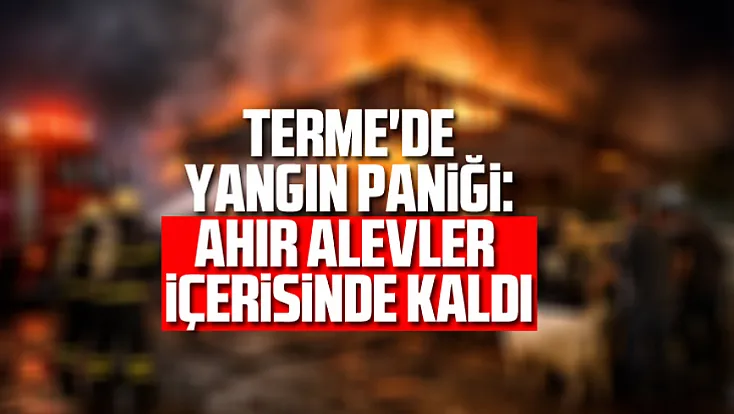 Terme'de yangın paniği: Ahır alevler içerisinde kaldı