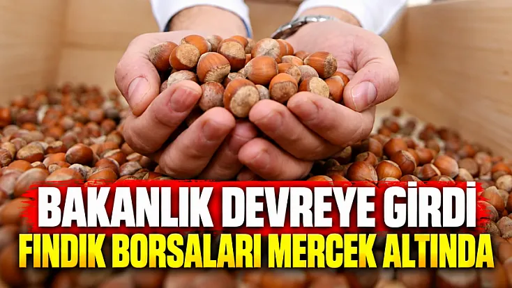 Ticaret Bakanlığı fındık borsalarında kapsamlı denetim başlattı