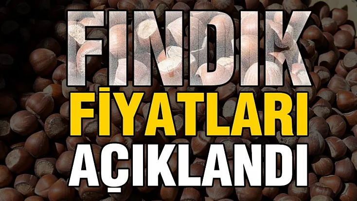 TMO 2026 fındık fiyatlarını açıkladı!