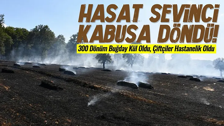 Vezirköprü'de Buğday Tarlalarını Yangın Vurdu