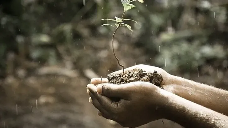 Yağmurdan sonra toprak neden güzel kokar?