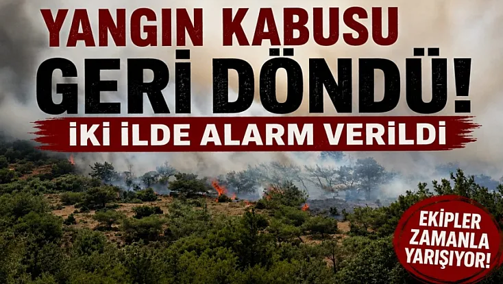 Yangın kabusu geri döndü: İzmir ve Bursa'da alevler ormanlık alana ulaştı