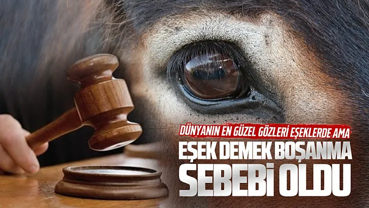 Yargıtaydan emsal karar: Eşine eşeksin, hayvansın diyen koca ağır kusurlu