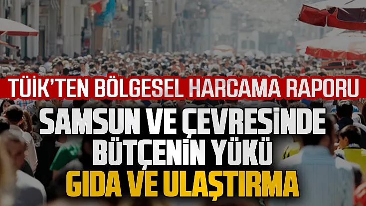 TÜİK 2025 verileri açıklandı: Samsun'da bütçeler gıda, ulaştırma ve konuta gidiyor