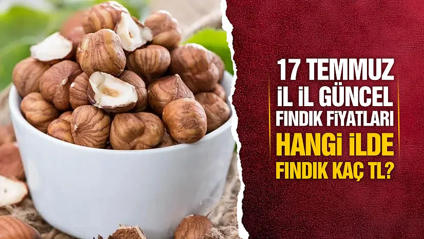 17 Temmuz İl İl Güncel Fındık Fiyatları: Serbest Piyasada Son Durum Ne?