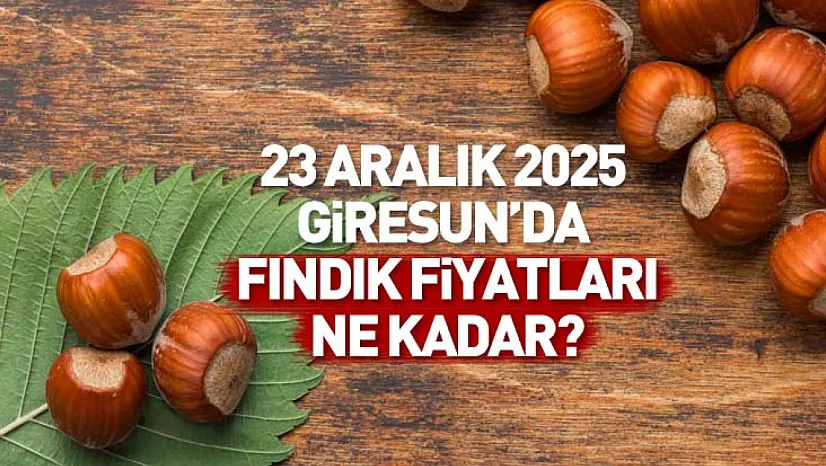 23 Aralık Giresun Fındık Fiyatları | Türkiye'nin En Değerli Fındığında Geri Adım Yok