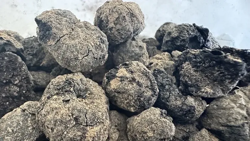 8 bin yıllık incir kalıntıları bulundu