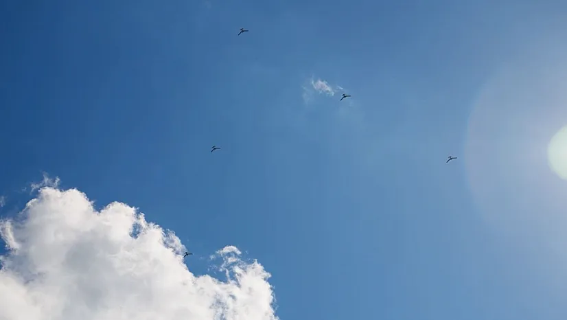 Baykar'dan yapay zekâ destekli yeni başarı