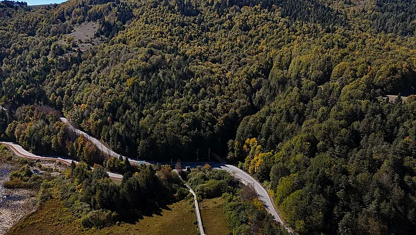 Bolu'da ormanlara girişler 30 eylül'e kadar yasaklandı