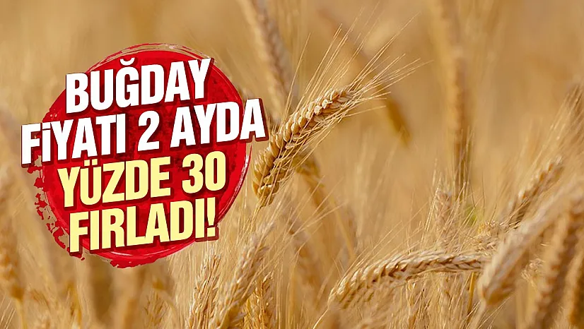 Buğday fiyatlarında savaş etkisi 2 ayda yüzde 30 yükseldi