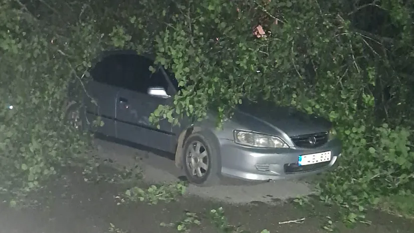 Fırtınada ağaçlar devrildi