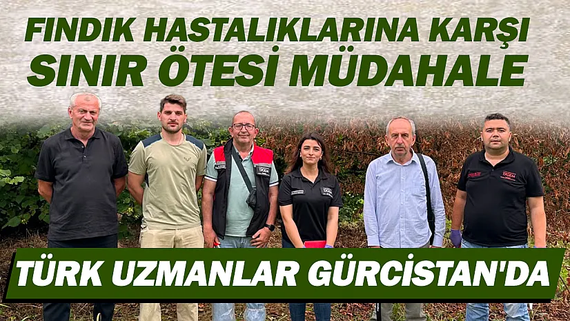 Gürcistan'da Kuruyan Fındık Bahçelerine Türk Uzmanlardan İnceleme