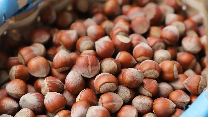 Hareketlilik sürüyor : Bartın'da günün fındık tablosu