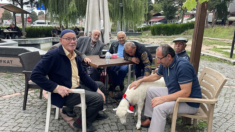 Kavaklıların maskotu kuzu 'Tertip'