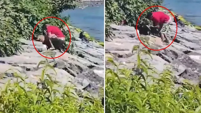 Köpeğe şiddet uygulayan şahıs gözaltına alındı