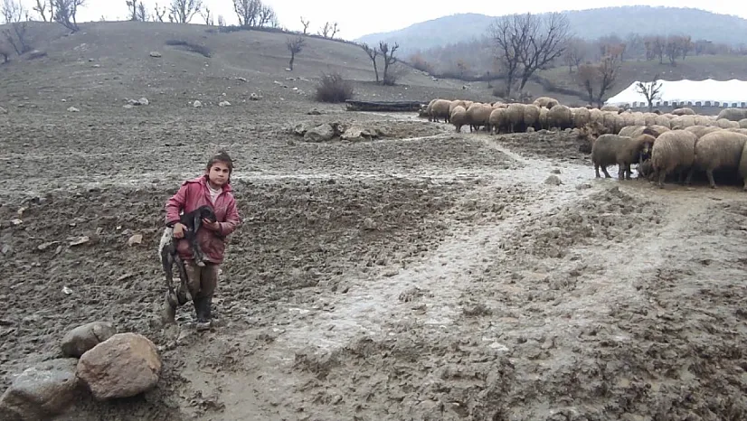 Küçük Zeynep'ten Büyük Merhamet