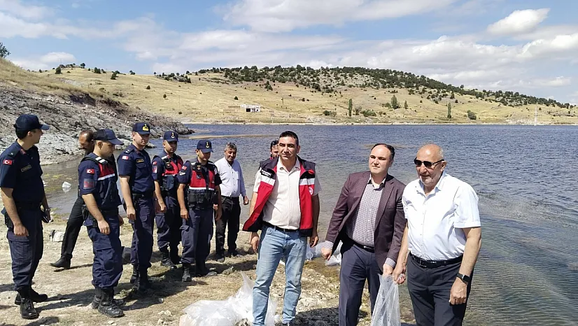 Kureyşler Göleti'ne 140 bin sazan yavrusu bırakıldı