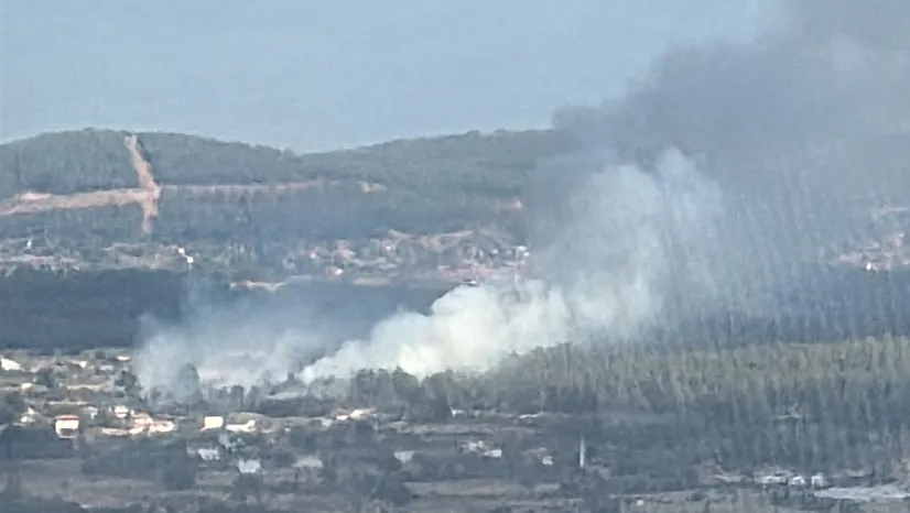 Muğla'da orman yangınına havadan ve karadan müdahale