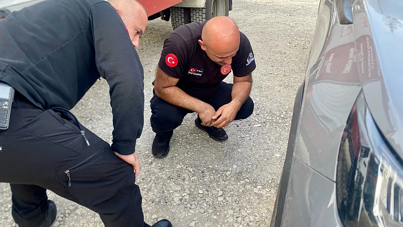 Düzce'de otomobilin motoruna sıkışan yavru kedi kurtarıldı