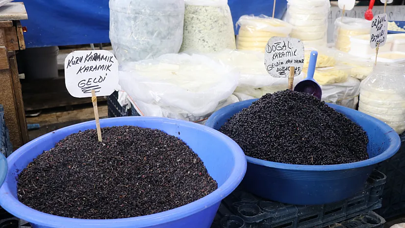 Sivas'ta dağlardan toplandı, tezgahlarda yerini aldı