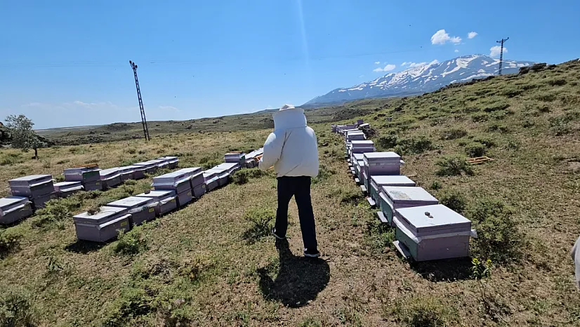 Süphan Dağı'nın Zengin Florası Arıcının Yüzünü Güldürdü