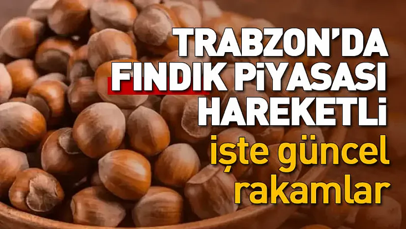 Trabzon'da fındık piyasası hareketli: İşte güncel rakamlar