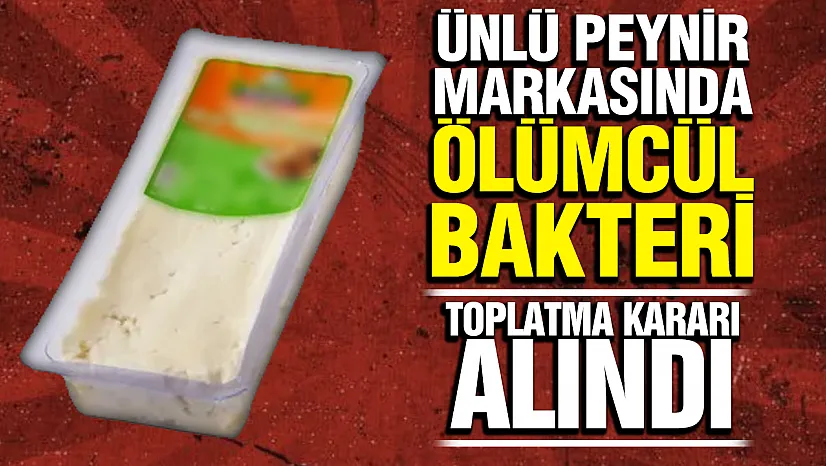Ünlü peynir markasında 'listeria' skandalı