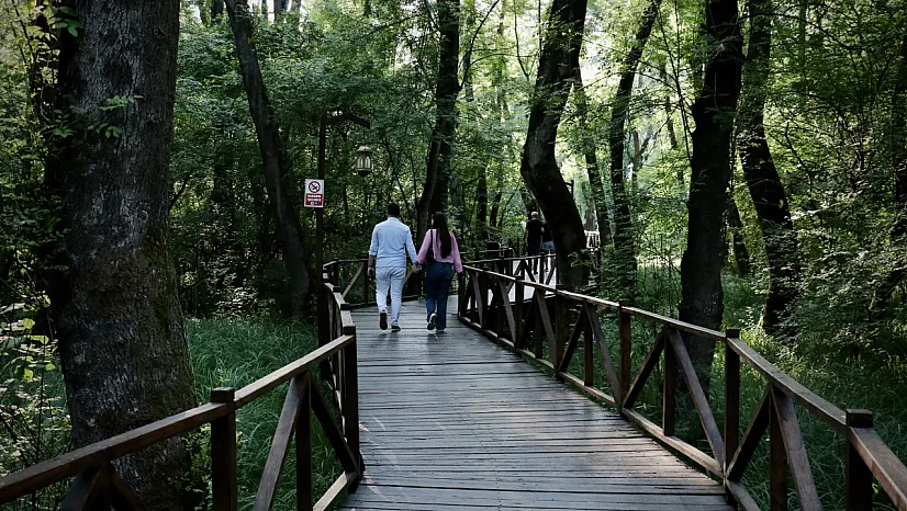 Ziyaretçilerin ilgisini çekiyor
