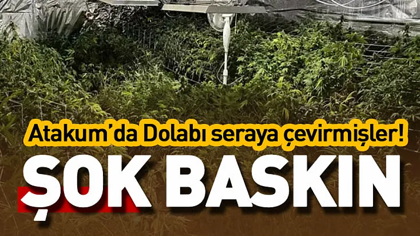 Atakum'da şok baskın : Dolabı seraya çevirmişler!