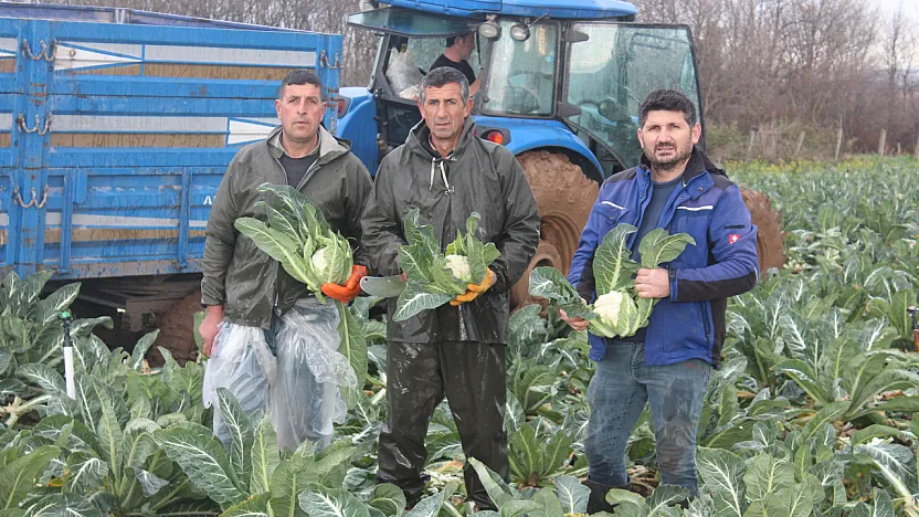 Bafra'dan Ankara'ya seslendiler! 'Bu süreci devlet büyüklerimiz takip etsin'