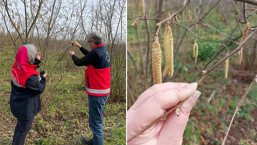 Çarşamba'da Fenolojik gözlemler devam ediyor