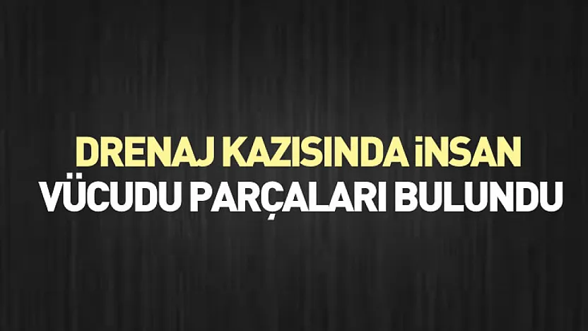 Drenaj Kazısında İnsan Vücudu Parçaları Bulundu