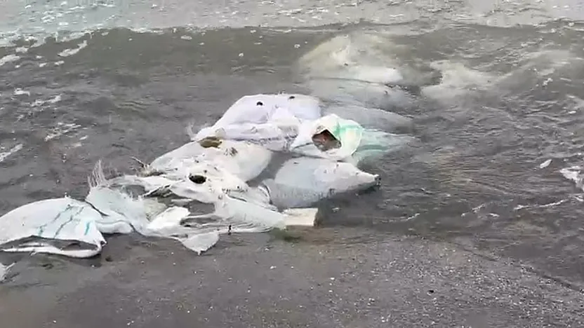 Duyarsızlar! İnşaat atığını denize döktüler