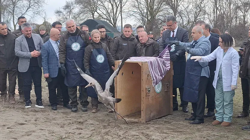 Samsun'da Doğaya Can Geldi! Yaban Hayvanları Salındı