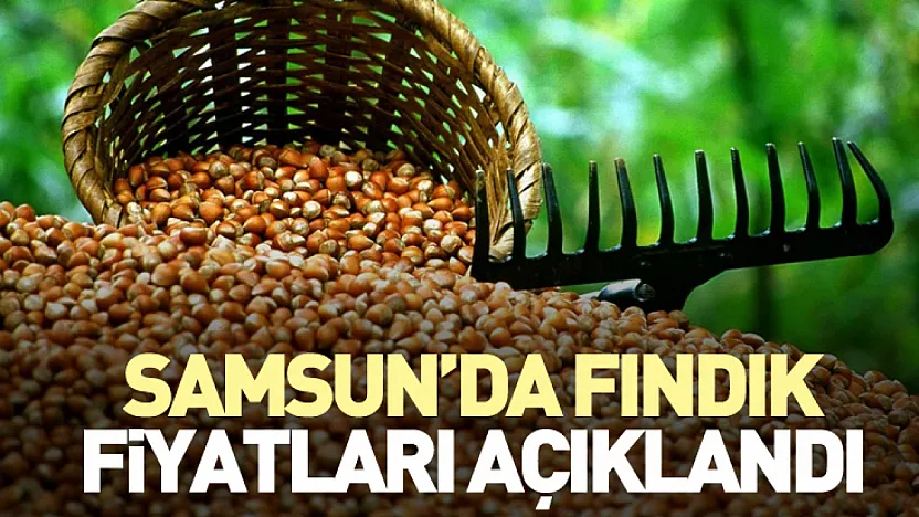 Samsun'da Fındık Fiyatları Açıklandı