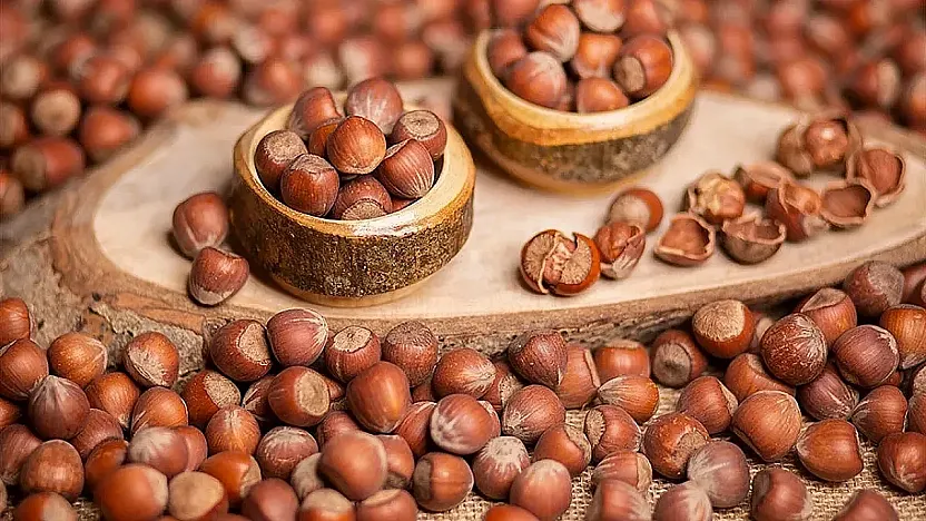 Samsun'da fındık fiyatları kabuğuna sığmıyor: İlçe İlçe Son Durum!