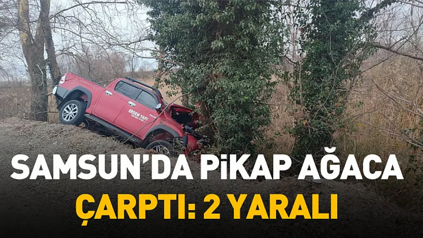 Samsun'da pikap ağaca çarptı: 2 yaralı